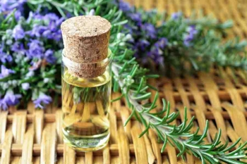 5-natural-oils-for-your-hair4
